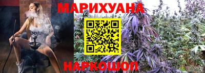 прущие грибы Ставрополь