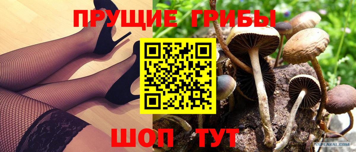 Галлюциногенные грибы Cubensis  Вход с VPN  Новочебоксарск 